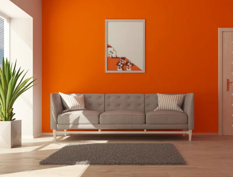 Peinture, placo et décoration intérieure-Boutonnet Rénov-entreprise de rénovation-renovation d'ampleur-travaux-artisan-rénovation intérieure-salle de bain-isolation-chauffage-terrasse-Combrailles-Saint-Nectaire-Clermont-Ferrand-Puy-de-Dôme